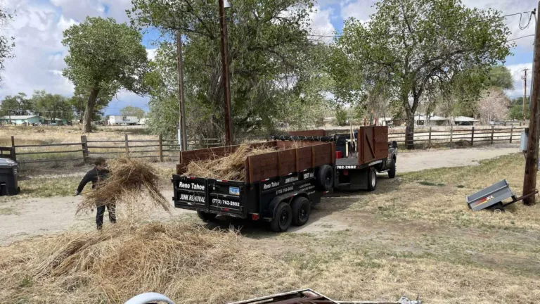 Yard brush removal